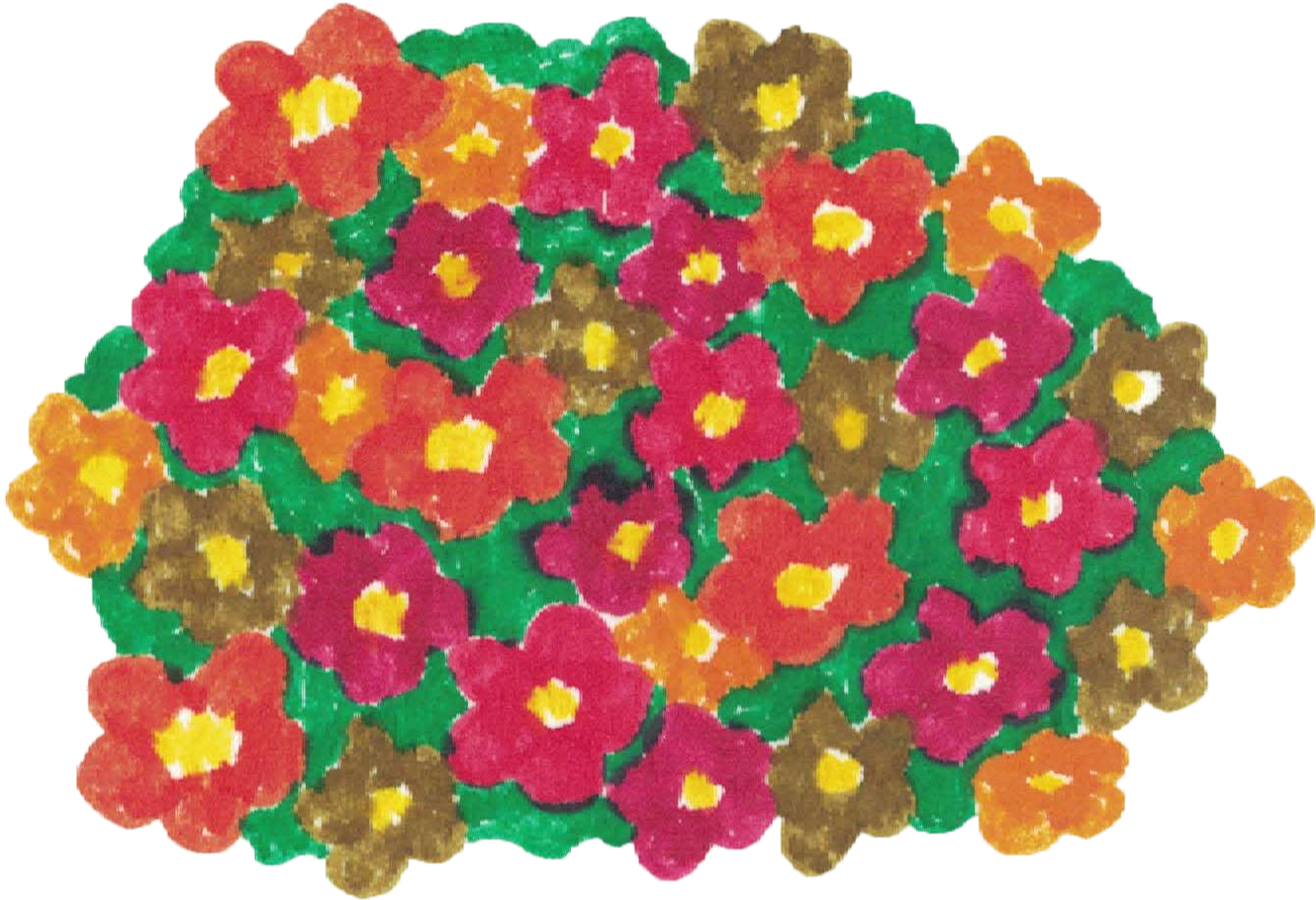 floresnaranjas
